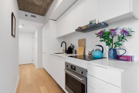 1406 Rue Ste Élisabeth, Montréal (Ville-Marie), QC H2C - Photo 4