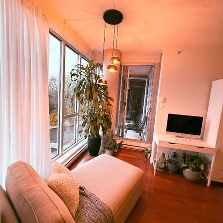 Colocation - chambre a louer - Photo 3