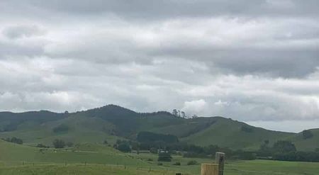 Stunning rural 4bed 20mins fr Pokeno - Photo 5