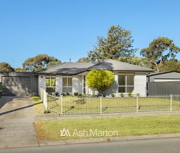 45 Herbert Road, Carrum Downs, VIC 3201 - Photo 6