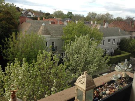 Prime Toorak studio with treetop views - Photo 4