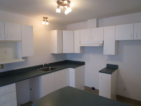 206-232 boul. de La Vérendrye Est - Photo 2