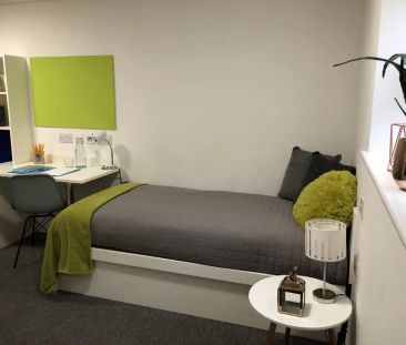 Premier Luxe Studio - Photo 2