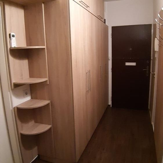 Kiadó felújított panel lakás - Pécs - Fotó 1