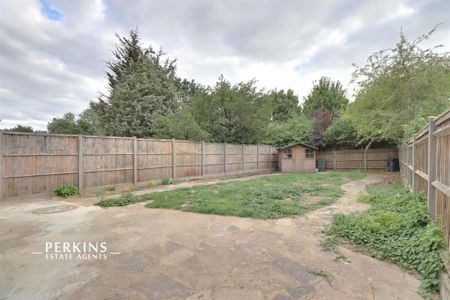 Studio to rent - Photo 3