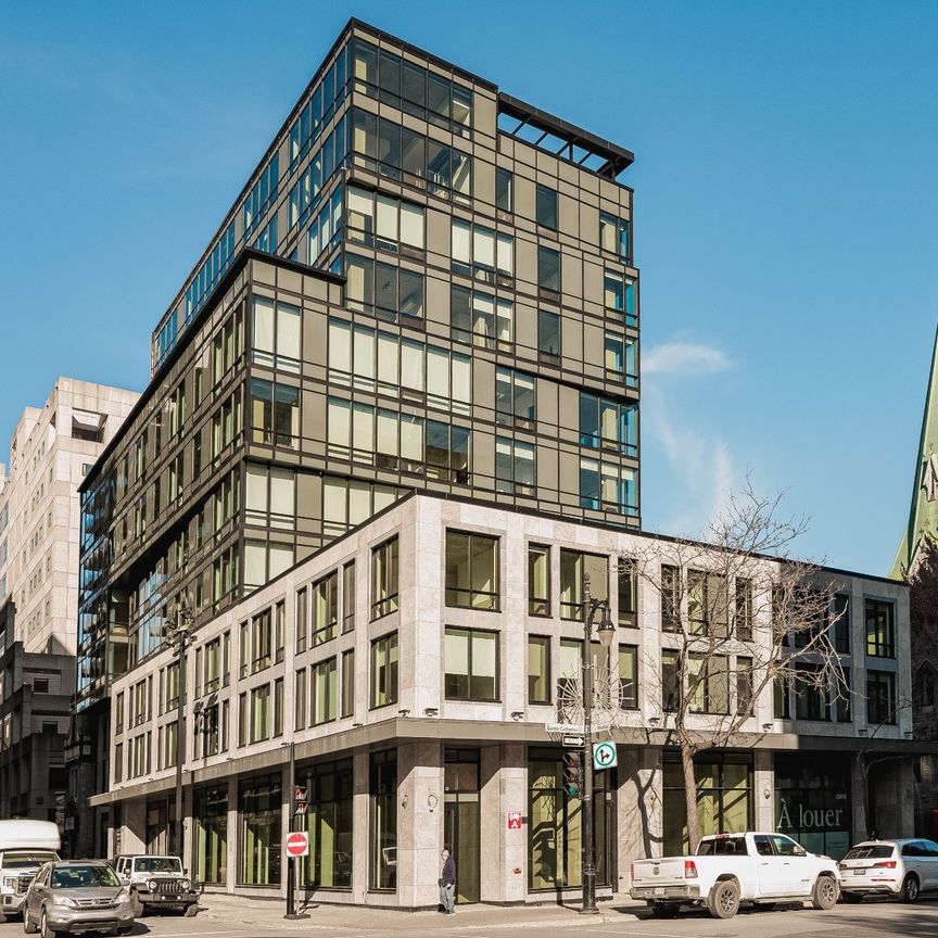 Condo for rent, Montréal (Ville-Marie) - Photo 1