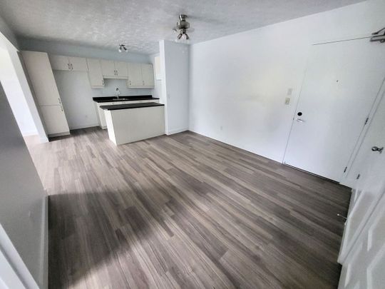Appartement 4 ½ rénové à louer – Sherbrooke, Secteur Université & Mont-Bellevue - Photo 1