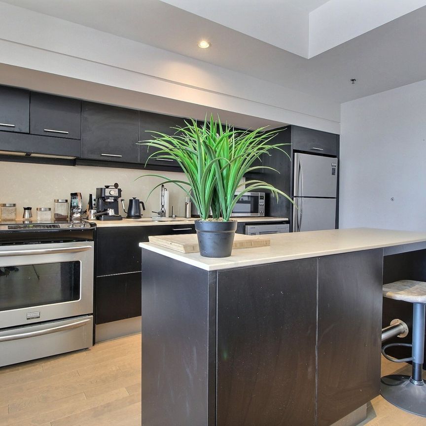 Condo for rent, Montréal (Ville-Marie) - Photo 1
