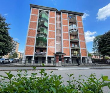 Trilocale in affitto - Photo 4