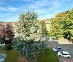 Studio rénové de 21,85m2 à LOUER - centre ville Hazebrouck (cèdre b... - Photo 3