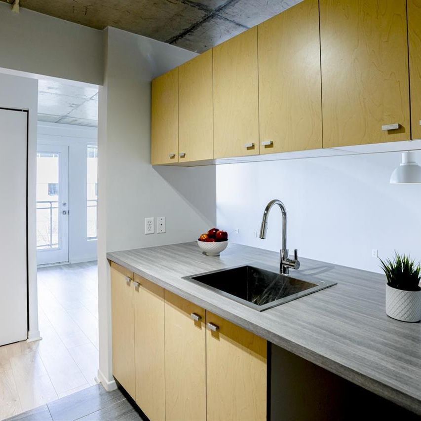 3 1/2 - 325 Rue De Saint-Vallier, Quebec - Photo 1