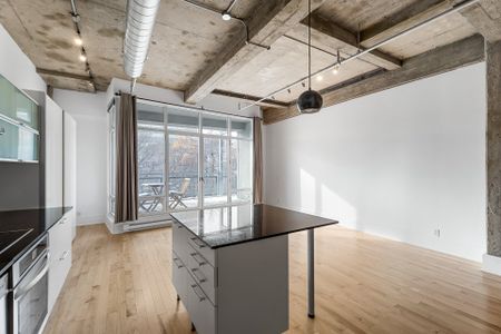 4225 Rue St-Dominique, #307 - Photo 2