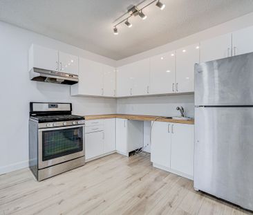 For Lease - 184 Cedric Avenue Unit# Main, Toronto, Ontario - Photo 2