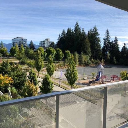 SFU- 5th Floor Condo- 2br Furnished - No Pet - Photo 3