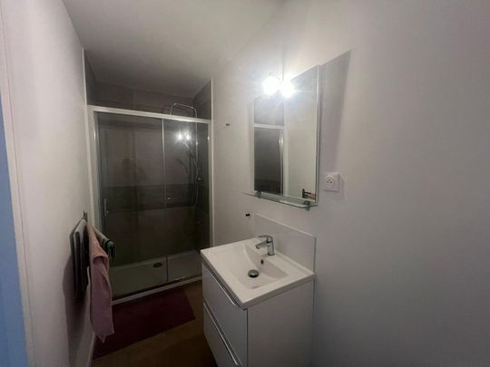 Location Appartement 1 pièce 19m² LILLE 59000 - Photo 1