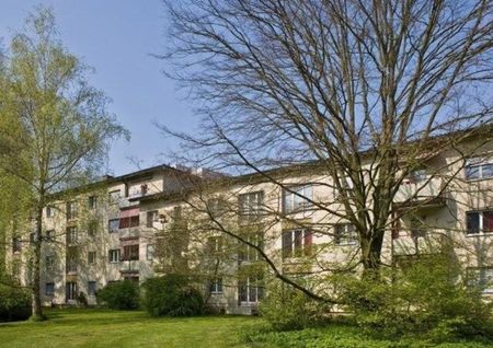 Gemütliche 3-Zimmerwohnung in Birsfelden gesucht? - Foto 3