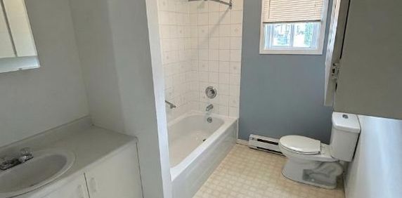 3 1/2 à louer St-Ephrem 545$/mois disponible 1er Juillet - Photo 2