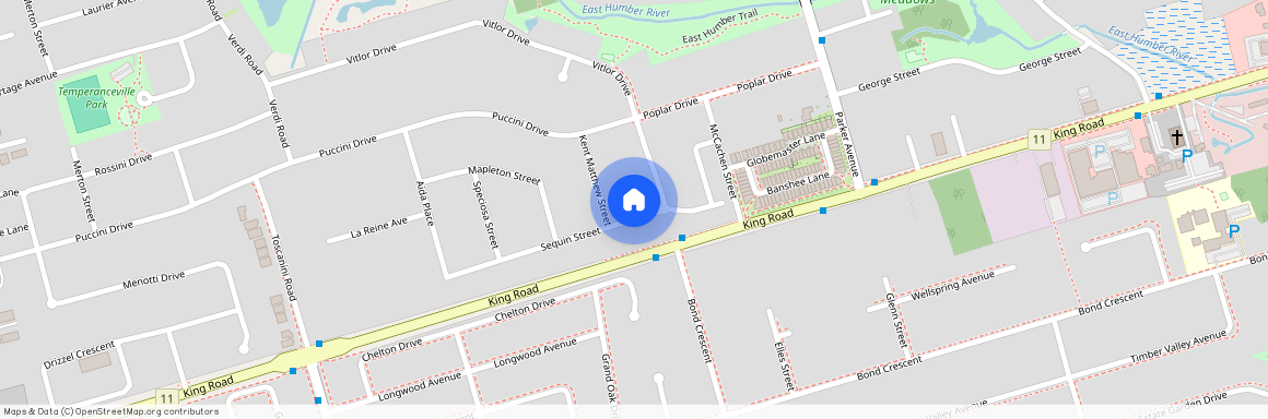 42 Seguin Street Unit# basement, Richmond Hill