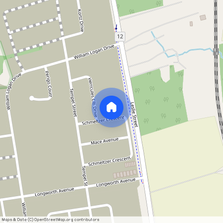 38 Schmeltzer Crescent, Richmond Hill