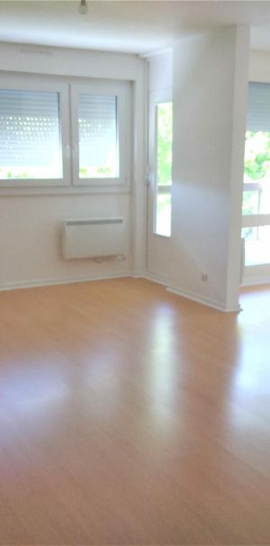 Location Appartement 4 pièces 81m² TOURNUS 71700 - Photo 1