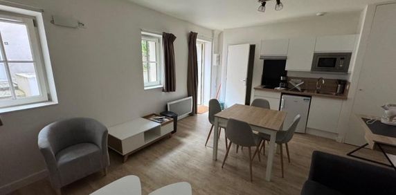 Appartement à louer, 1 pièce - Angers 49000 - Photo 2