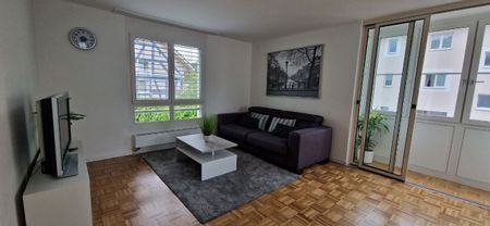 APPARTEMENT DE 2 PIÈCES À LANGWIESEN (ZH), MEUBLÉ, TEMPORAIRE - Foto 2