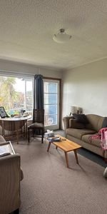 Domain Road, Haumoana - Photo 3