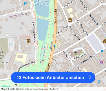 Sehenswerte Wohnung in der Universitätsstadt Freiberg! - Foto 1