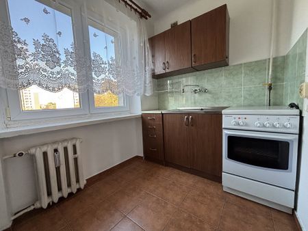 Na wynajem 2 ustawne pokoje z balkonem - Photo 4