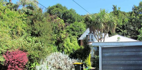 Charming Home in North Dunedin! - Photo 2