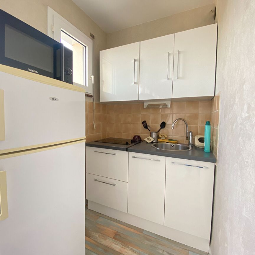 QUARTIER FRANCOIS PERRIN, Studio de 29 m² meublé avec balcon, cave et parking ! - Photo 1