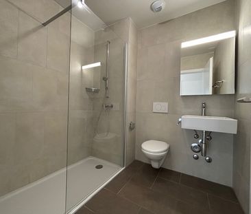 LE TICLE : Appartements à louer - Foto 4