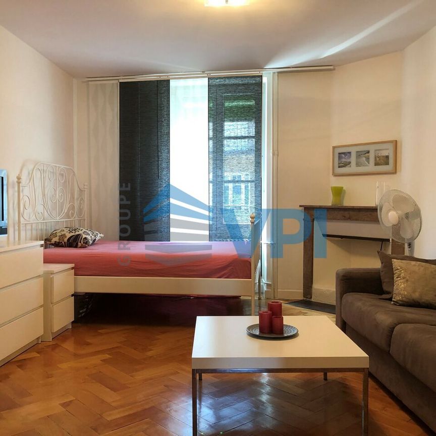 Furnished 2-room apartment near the lake - Photo 1