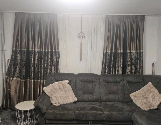 nachmiter gesucht - Foto 1