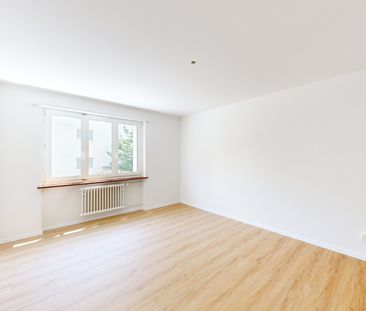 Single Wohnung sucht sie! - Photo 5