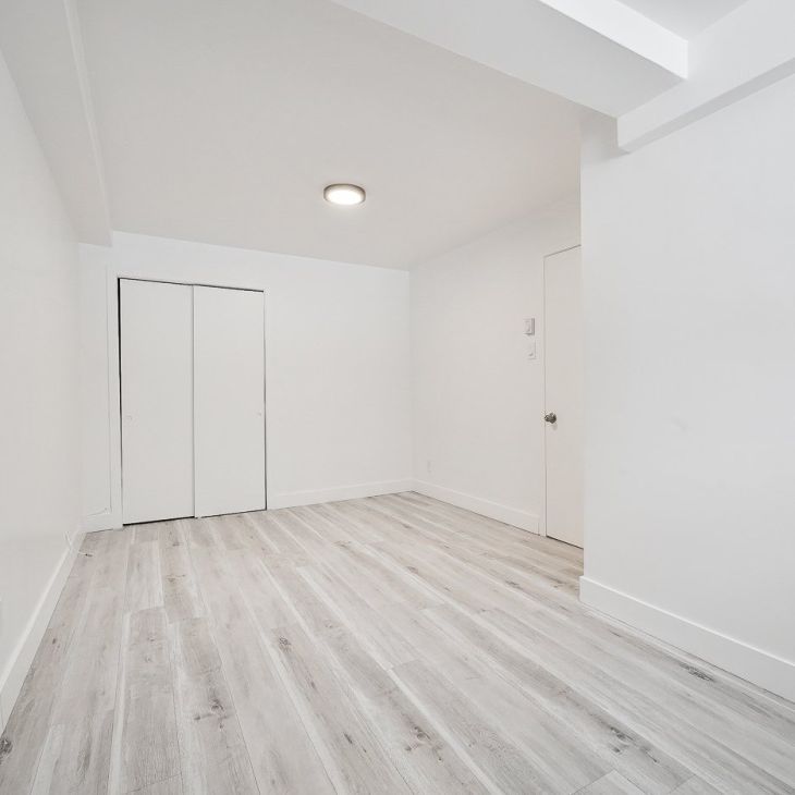 Appartement à louer - Montréal (Rosemont/La Petite-Patrie) (La Petite-Patrie) - Photo 1