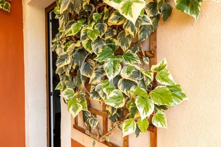 1 bedroom luxury penthouse for rent in Palma de Mallorca, Spain - Photo 2