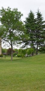 3 1/2 Charlesbourg - Piscine - jardins - juillet - Photo 4