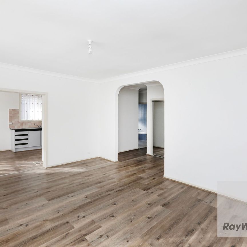 Freshly Painted & Ready To Go! - Photo 1