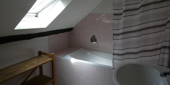 Location Appartement 1 pièce 23m² CHATEAUBRIANT 44110 - Photo 3