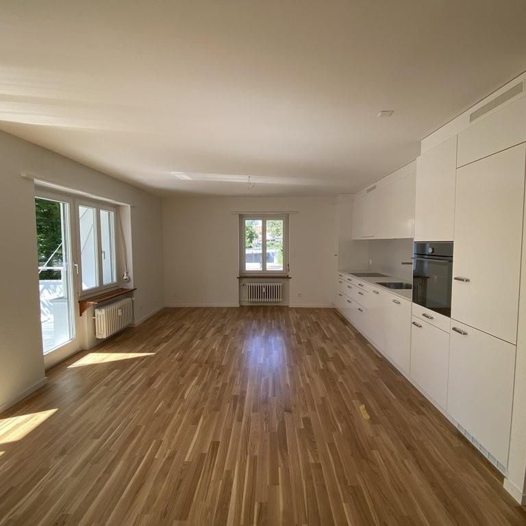 schöne, helle und renovierte 2.5-Zimmerwohnung im EG - Foto 1