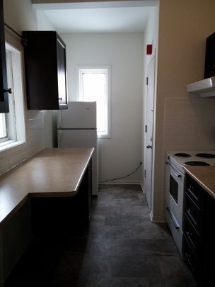 3 - 225 St. Patrick Street - Photo 1