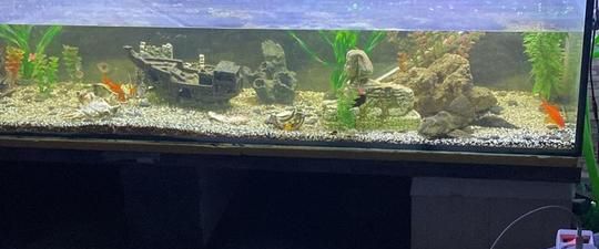 Möblierte Wohnung in Mönchengladbach Rheydt - Foto 1