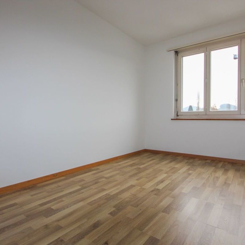 Grosszügige, helle Wohnung an ruhiger Lage - Photo 1