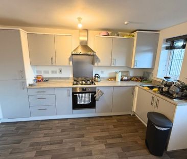 Hector Drive - Photo 2