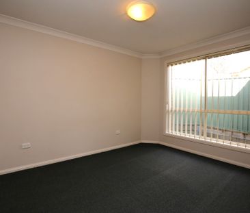 MORE ON MORRISSET - Photo 3