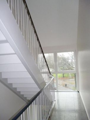 Schöne 3 Zimmerwohnung im Herzen von Schönebeck mit großzügigem Balkon - Photo 1