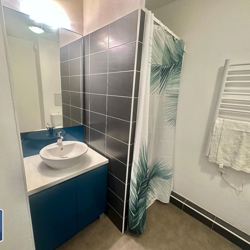 Location Appartement 1 pièce 20m² CALUIRE ET CUIRE 69300 - Photo 2