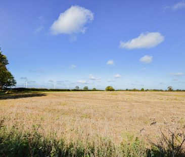 3 bedroom cottage to rent - Photo 5