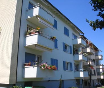 3 Zimmer, 61 m², 2. Stock - Photo 2